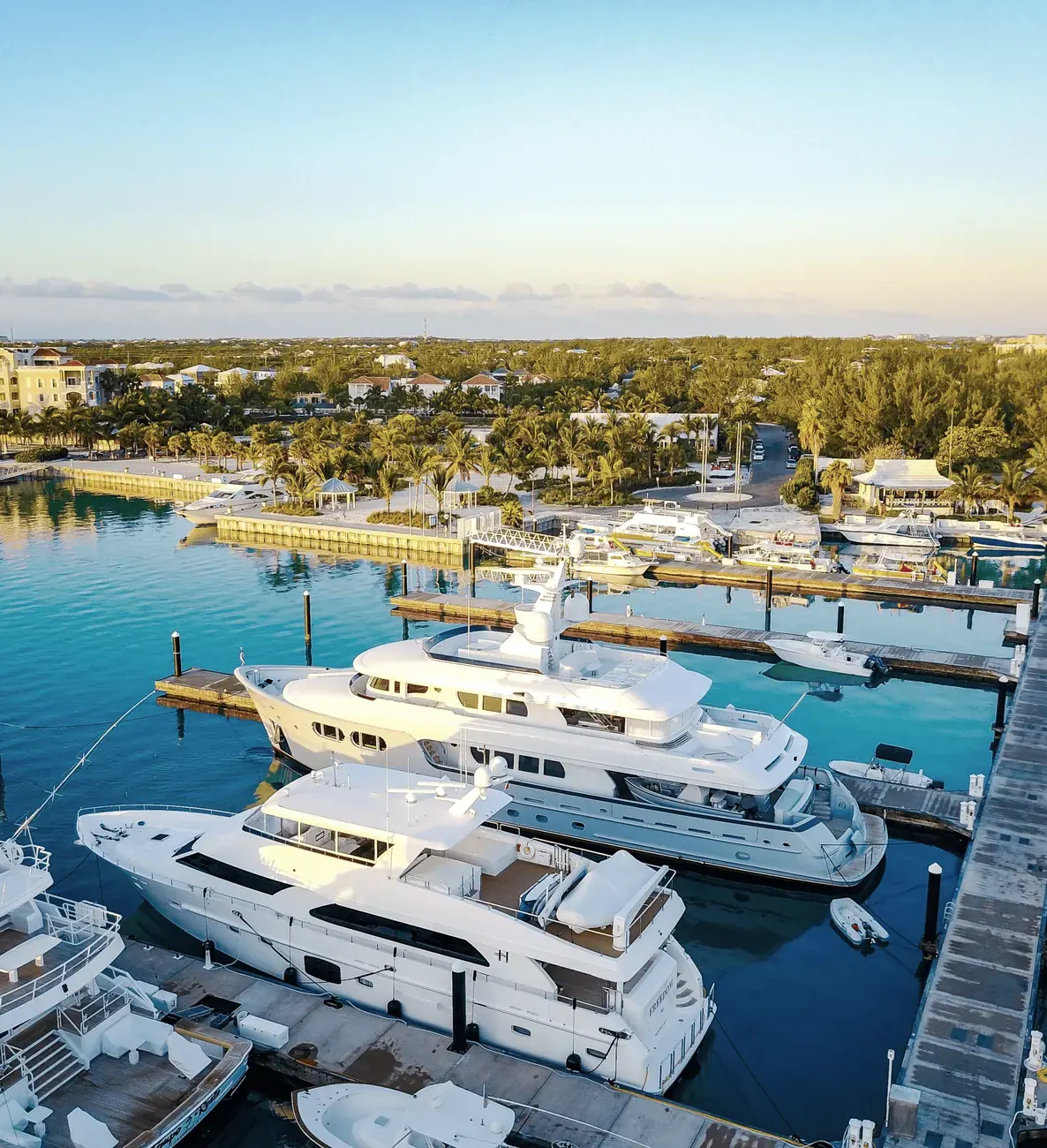 Aerial view of large yachts moored in a marina, with palm trees and villas behind.