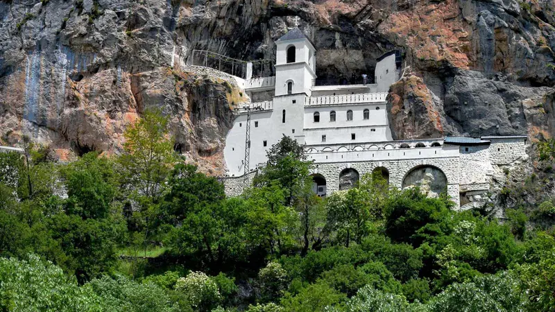Das weiße Kloster Ostrog, in eine senkrechte Felswand in Montenegro gebaut, über einem Hang mit grünen Bäumen im Frühling.